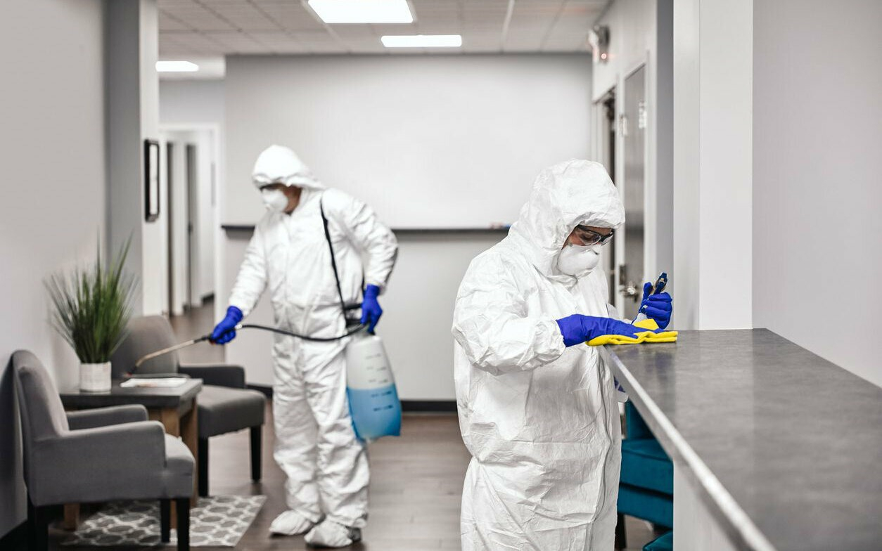 ФОТО Обработка офиса от вредителей в Новокузнецке | подробно