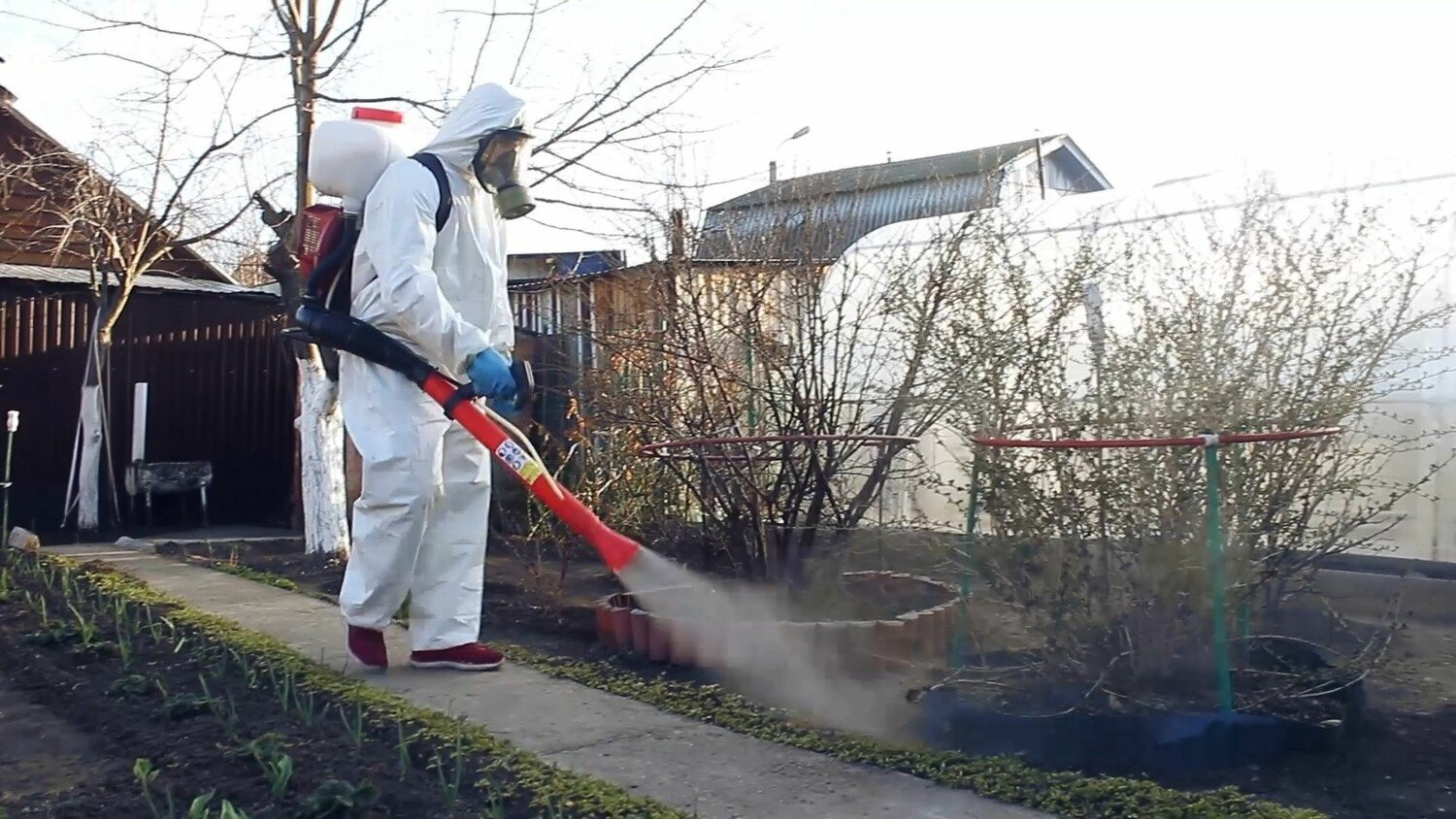 ФОТО Уничтожение муравьёв в Новокузнецке