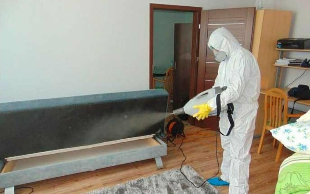 ФОТО Уничтожение блох в Новокузнецке