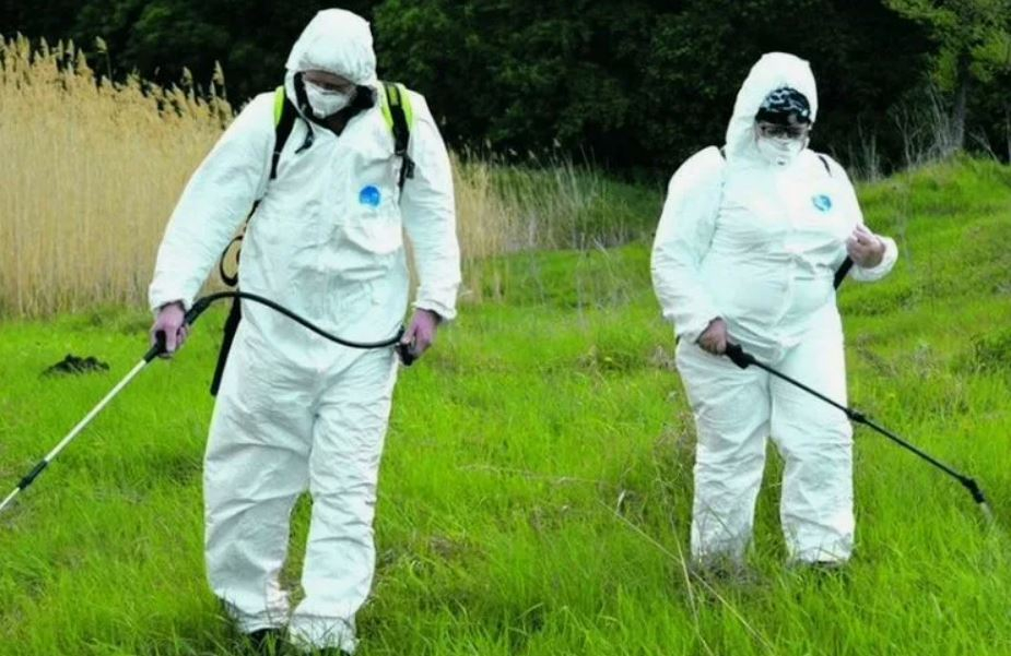 ФОТО Обработка от клещей в Новокузнецке