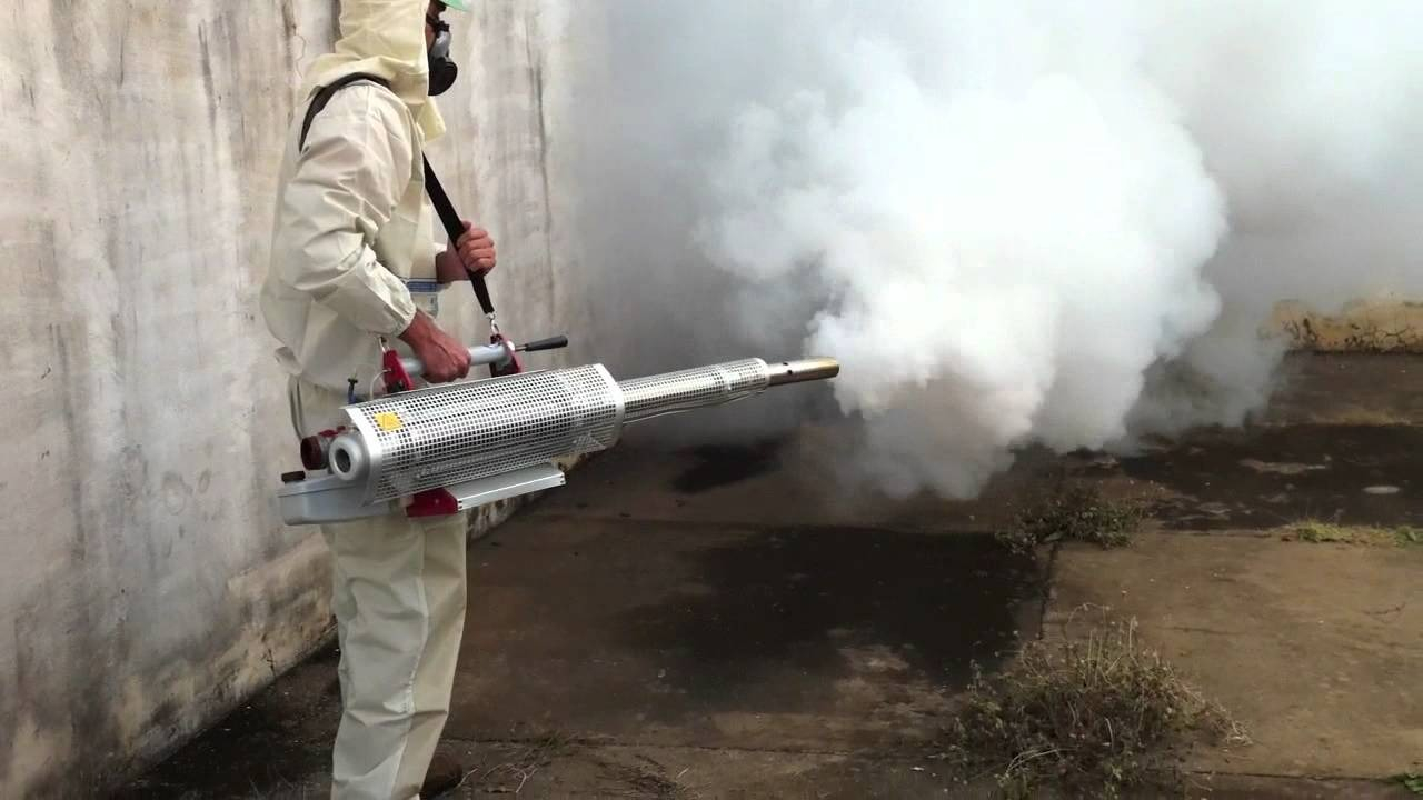 ФОТО Уничтожение мух в Новокузнецке