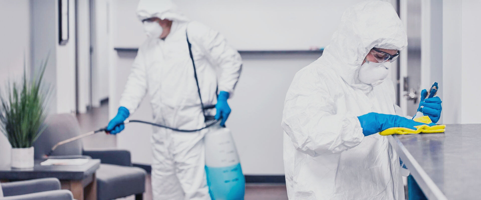 ФОТО В чем разница между дезинфекцией и дезинсекцией в Новокузнецке? | подробно