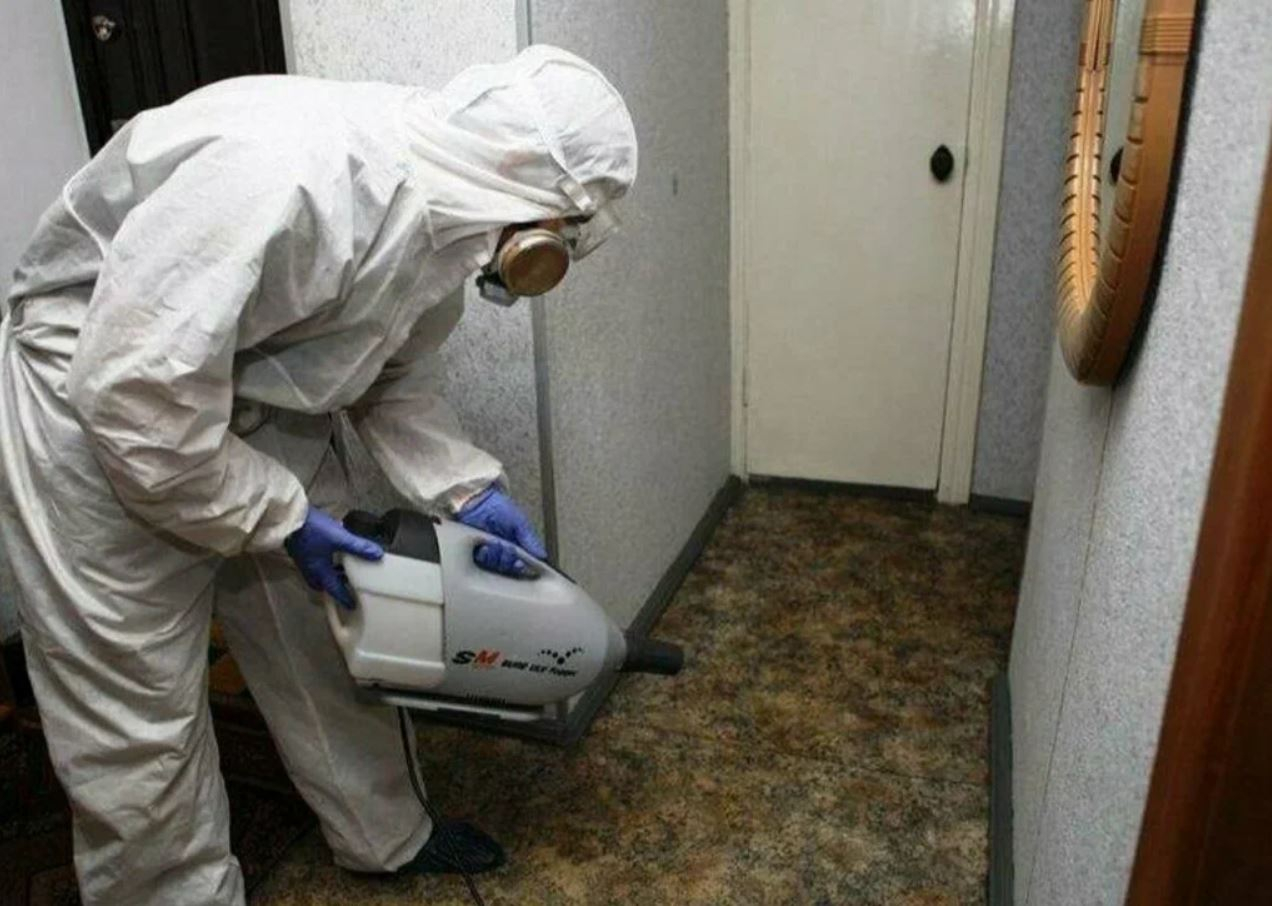 ФОТО Какие методы обработки для дезинсекции существуют в Новокузнецке? | подробно