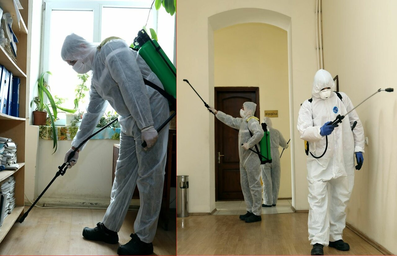 ФОТО Требуется ли лицензия для дезинсекции и дезинфекции в Новокузнецке? | подробно
