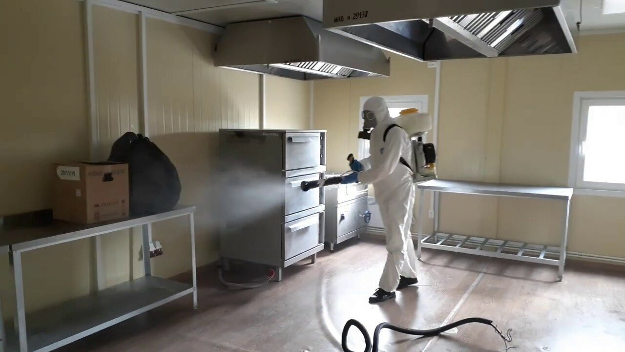 ФОТО Можно ли провести дезинсекцию самостоятельно и какие существуют риски в Новокузнецке? | подробно