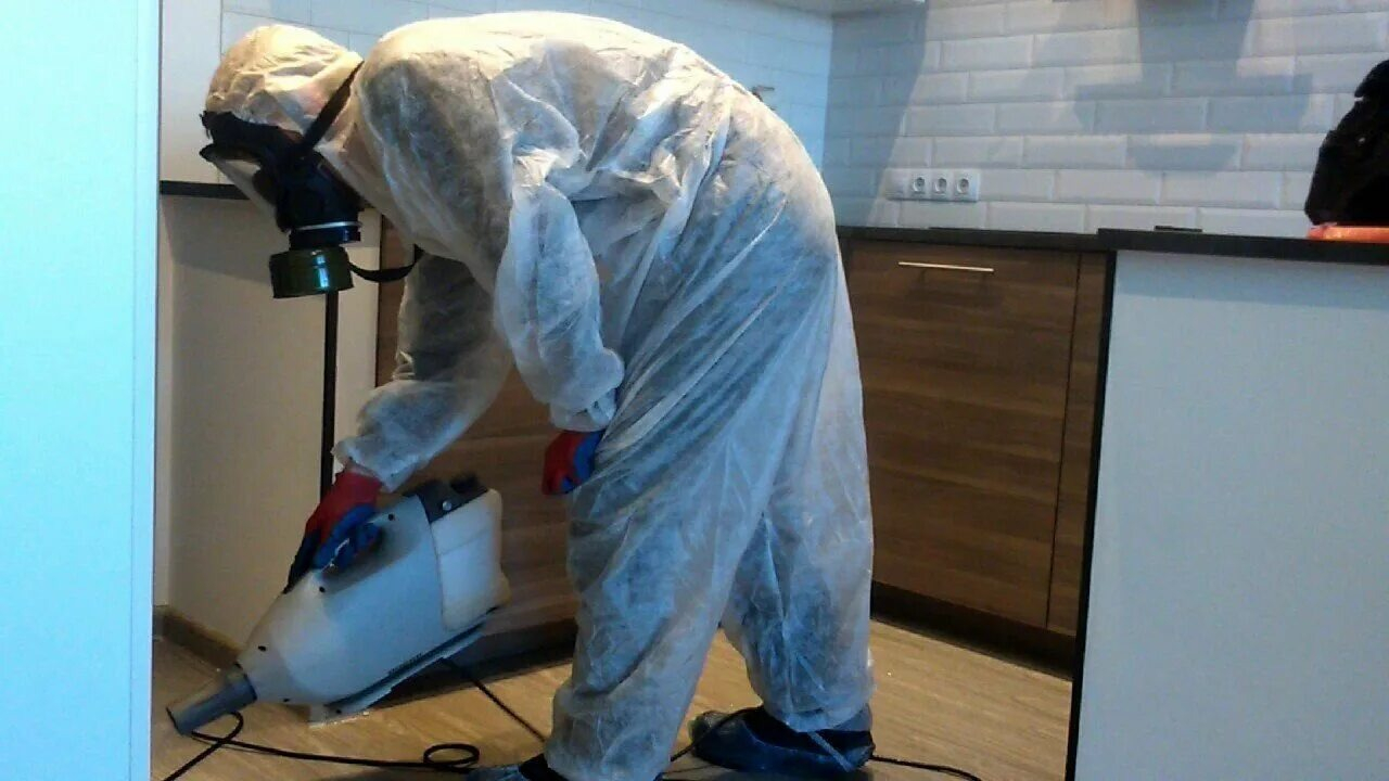 ФОТО Как подготовить домашних животных к обработке от насекомых в Новокузнецке? | подробно