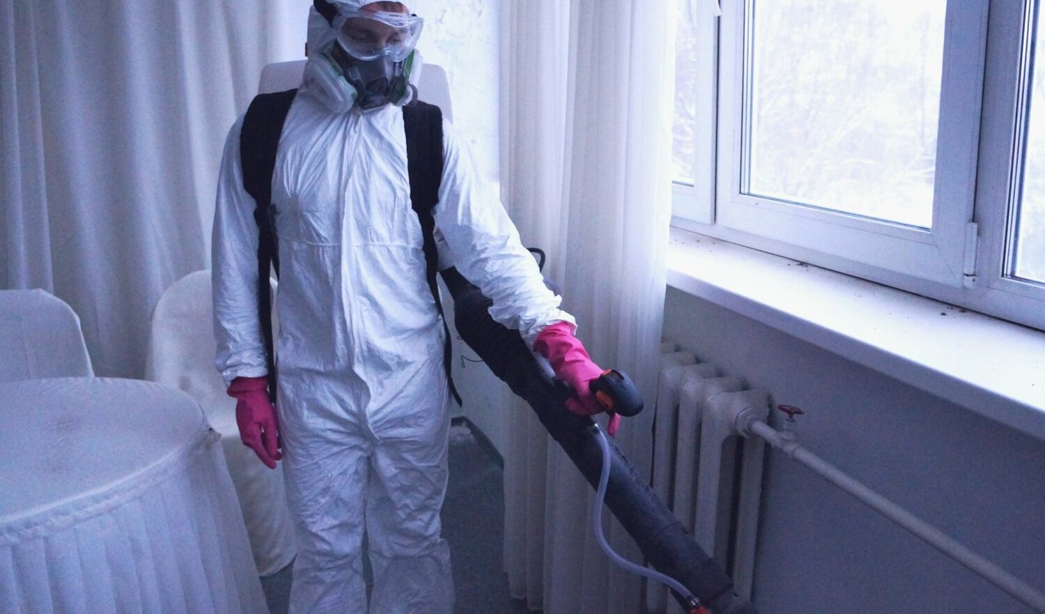 ФОТО Нужно ли выносить растения при дезинсекции в Новокузнецке? | подробно