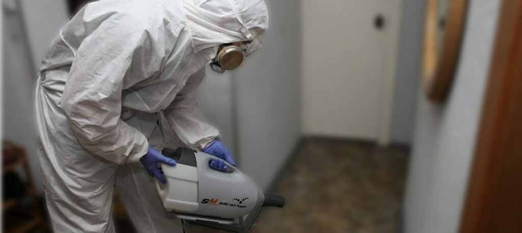 ФОТО Остаются ли следы после обработки квартиры от насекомых в Новокузнецке? | подробно