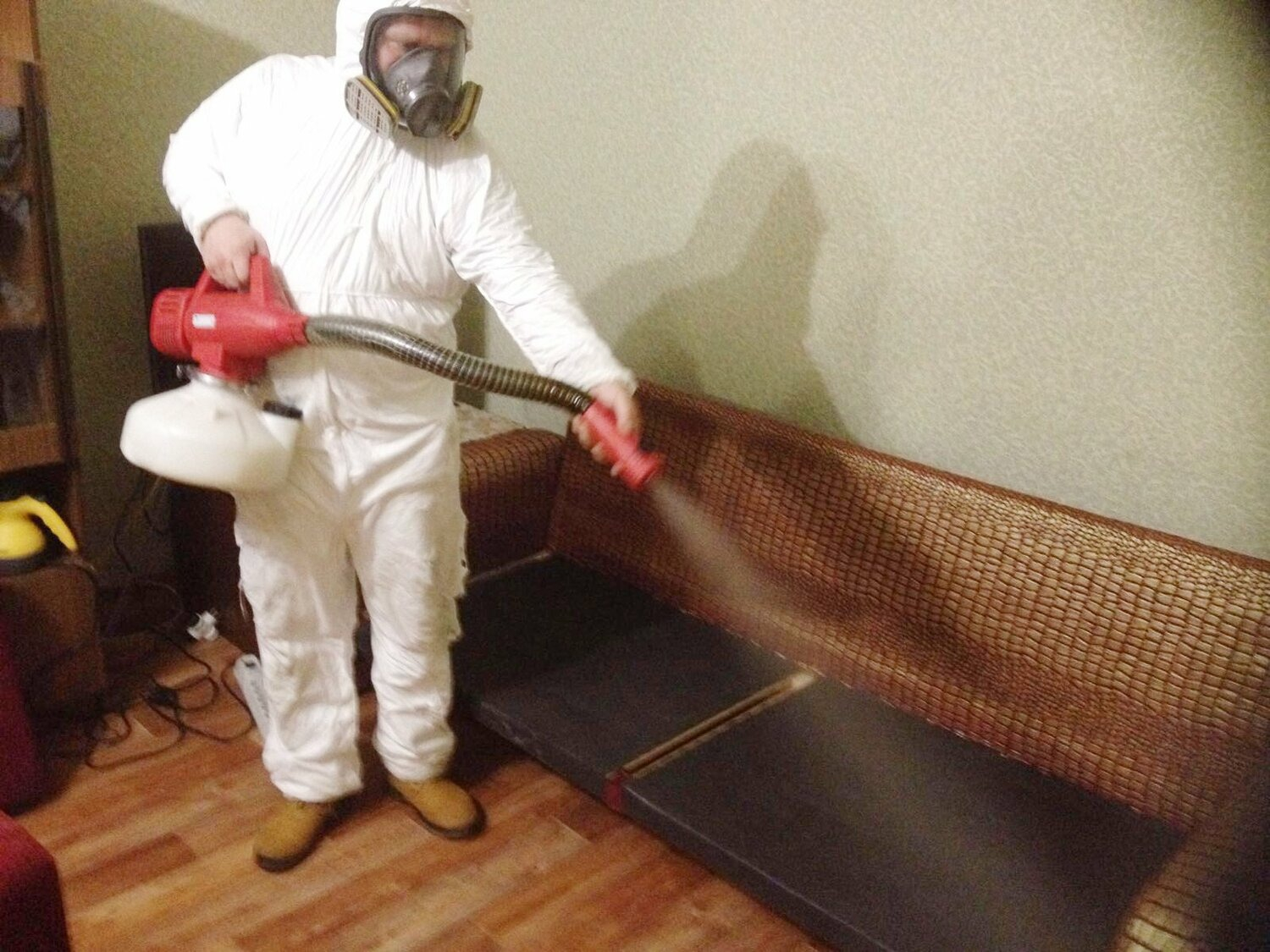 ФОТО Когда можно вернуться в помещение после дезинсекции в Новокузнецке? | подробно