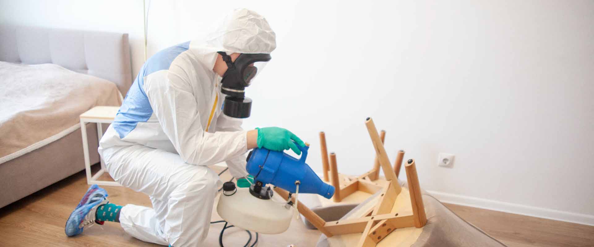 фото: Уничтожение постельных клопов с 1-го раза с гарантией за 30-60 мин. в Новокузнецке без предоплаты